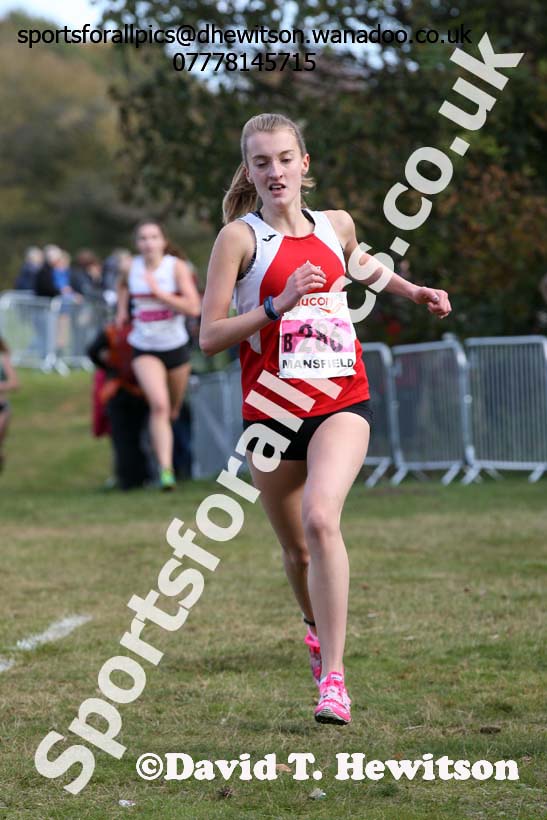 Junior women, 2016 National Cross Cpuntry Relays, Berry Hill Park, Mansfield. Photo: David T. Hewitson/Sports for All Pics